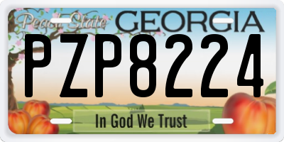 GA license plate PZP8224