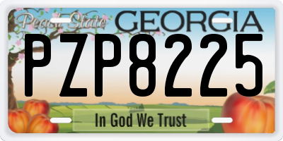 GA license plate PZP8225
