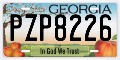 GA license plate PZP8226