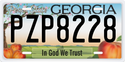 GA license plate PZP8228