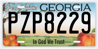 GA license plate PZP8229