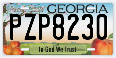 GA license plate PZP8230