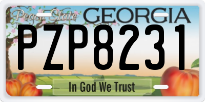 GA license plate PZP8231