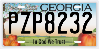 GA license plate PZP8232