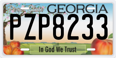 GA license plate PZP8233