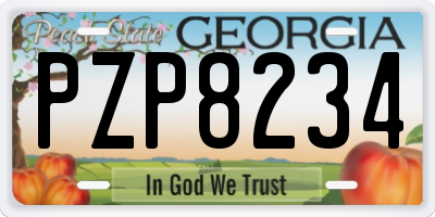 GA license plate PZP8234