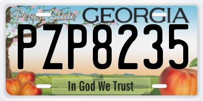 GA license plate PZP8235