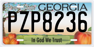 GA license plate PZP8236