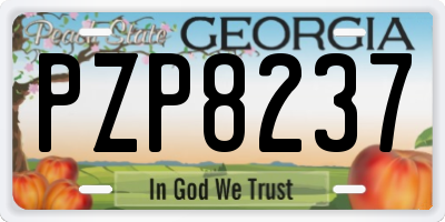 GA license plate PZP8237
