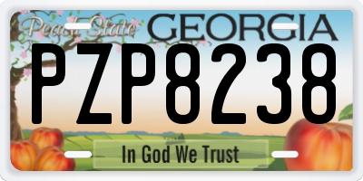 GA license plate PZP8238