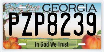 GA license plate PZP8239