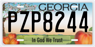 GA license plate PZP8244