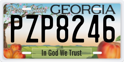 GA license plate PZP8246