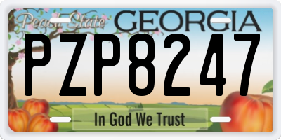 GA license plate PZP8247
