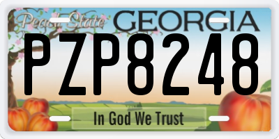 GA license plate PZP8248