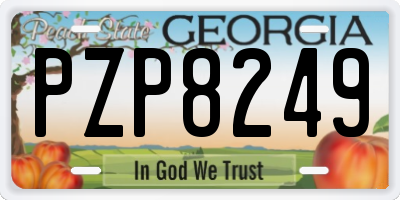 GA license plate PZP8249