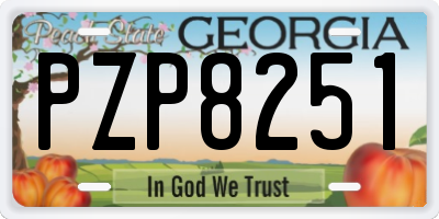 GA license plate PZP8251