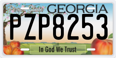 GA license plate PZP8253