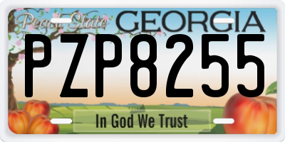 GA license plate PZP8255