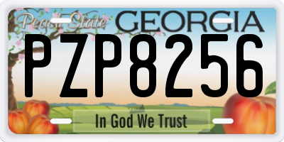 GA license plate PZP8256