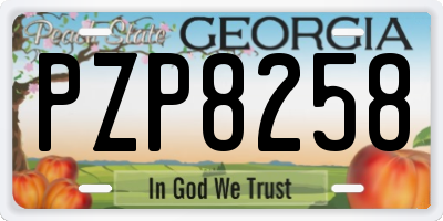 GA license plate PZP8258