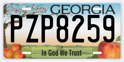 GA license plate PZP8259