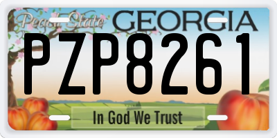 GA license plate PZP8261