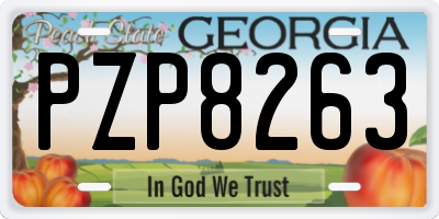 GA license plate PZP8263