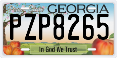 GA license plate PZP8265
