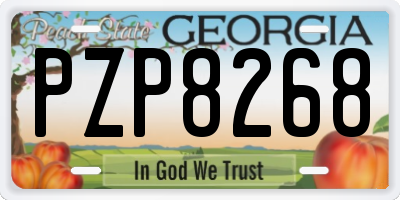 GA license plate PZP8268