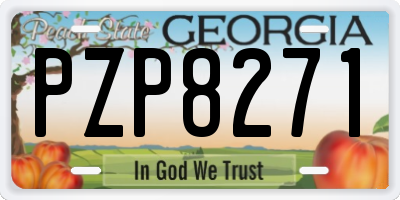 GA license plate PZP8271