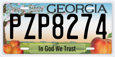 GA license plate PZP8274
