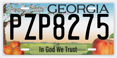 GA license plate PZP8275