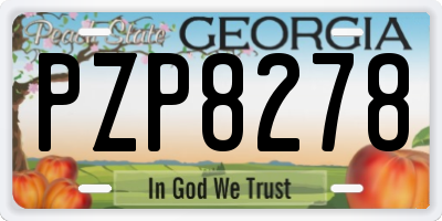 GA license plate PZP8278