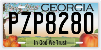 GA license plate PZP8280