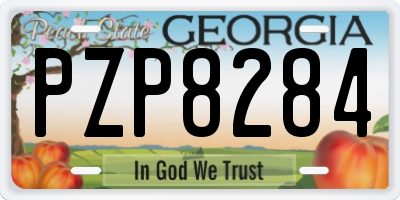 GA license plate PZP8284