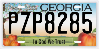 GA license plate PZP8285