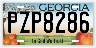 GA license plate PZP8286