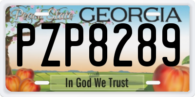 GA license plate PZP8289