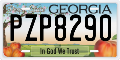 GA license plate PZP8290