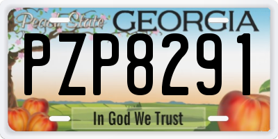 GA license plate PZP8291