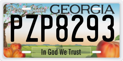 GA license plate PZP8293