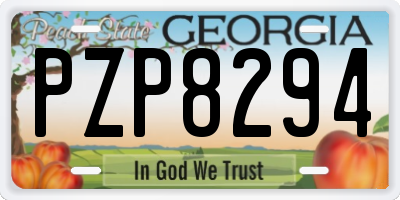 GA license plate PZP8294