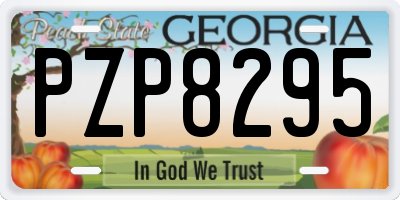 GA license plate PZP8295