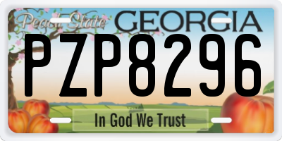 GA license plate PZP8296