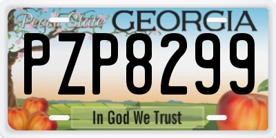 GA license plate PZP8299