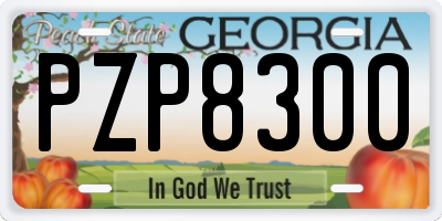 GA license plate PZP8300