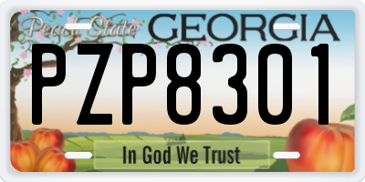 GA license plate PZP8301
