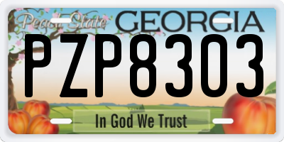GA license plate PZP8303