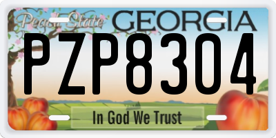 GA license plate PZP8304